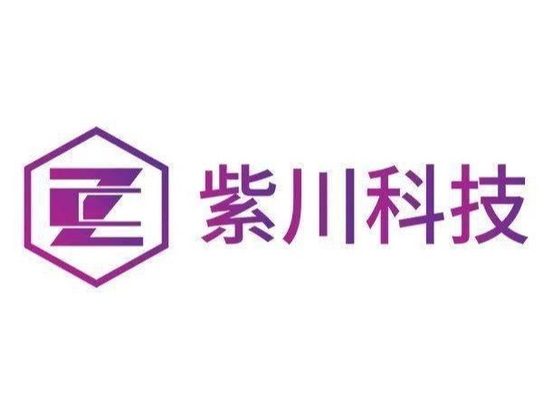 广州紫川电子科技公司智能检测仪检测报告案例